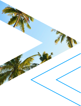 Arrow with Image